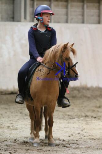 Kerguelen-equitation-1F4A4246