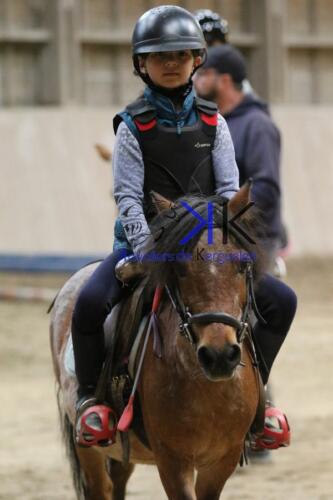 Kerguelen-equitation-1F4A4249