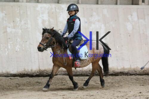 Kerguelen-equitation-1F4A4250