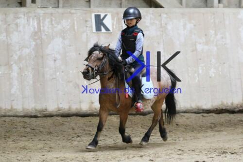 Kerguelen-equitation-1F4A4251