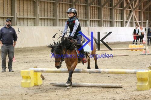 Kerguelen-equitation-1F4A4253