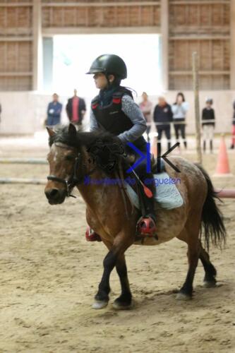 Kerguelen-equitation-1F4A4255