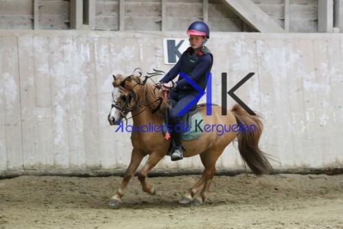 Kerguelen-equitation-1F4A4258