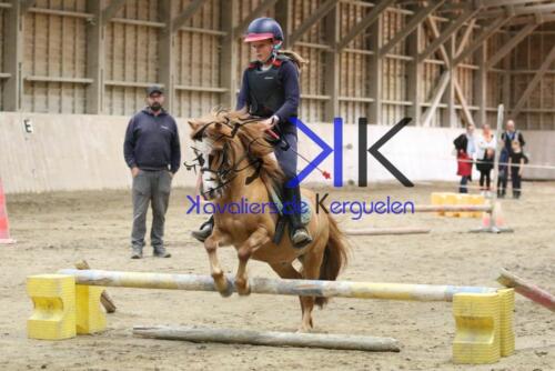 Kerguelen-equitation-1F4A4261