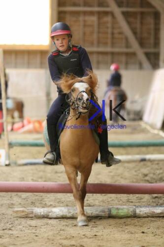 Kerguelen-equitation-1F4A4262