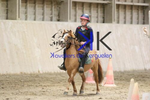 Kerguelen-equitation-1F4A4263