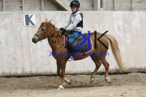 Kerguelen-equitation-1F4A4267