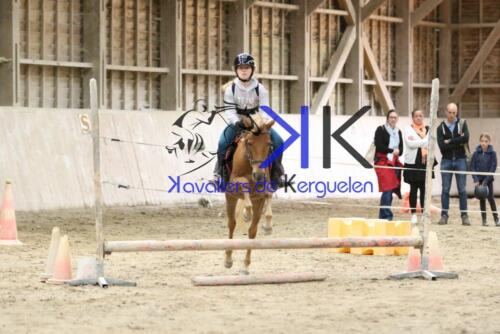 Kerguelen-equitation-1F4A4269