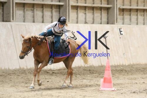 Kerguelen-equitation-1F4A4272