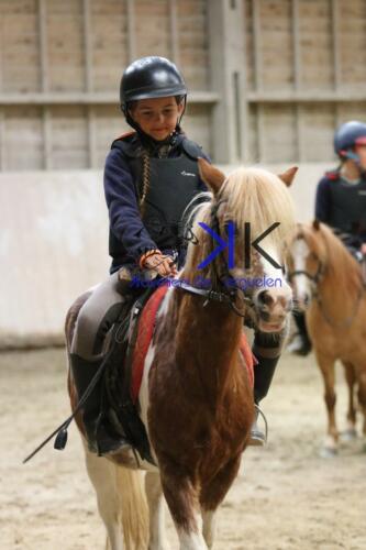 Kerguelen-equitation-1F4A4273