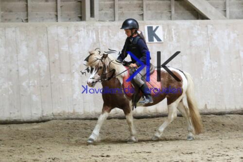 Kerguelen-equitation-1F4A4274