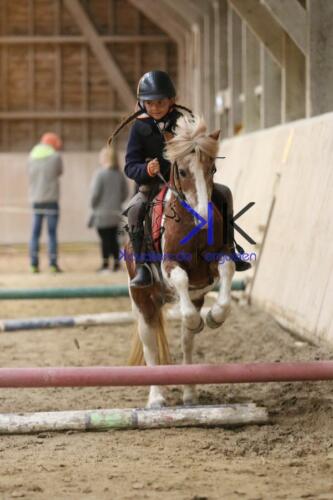 Kerguelen-equitation-1F4A4278