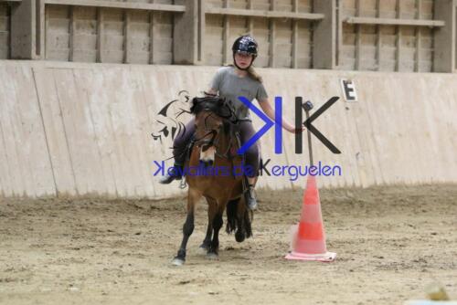 Kerguelen-equitation-1F4A4287