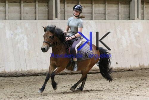 Kerguelen-equitation-1F4A4288