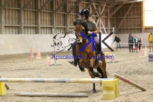 Kerguelen-equitation-1F4A4290