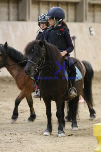 Kerguelen-equitation-1F4A4293