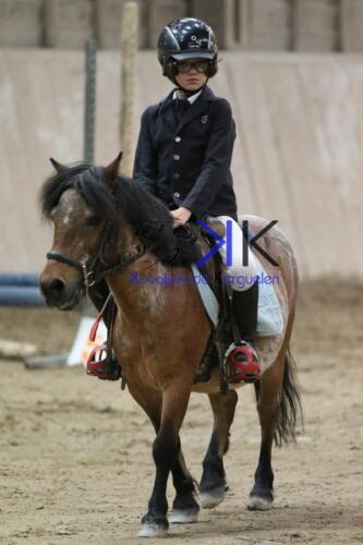 Kerguelen-equitation-1F4A4295