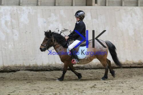 Kerguelen-equitation-1F4A4298