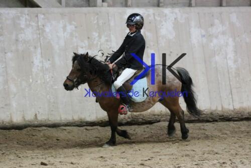 Kerguelen-equitation-1F4A4299