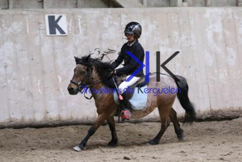 Kerguelen-equitation-1F4A4300