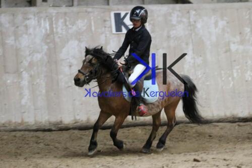 Kerguelen-equitation-1F4A4301