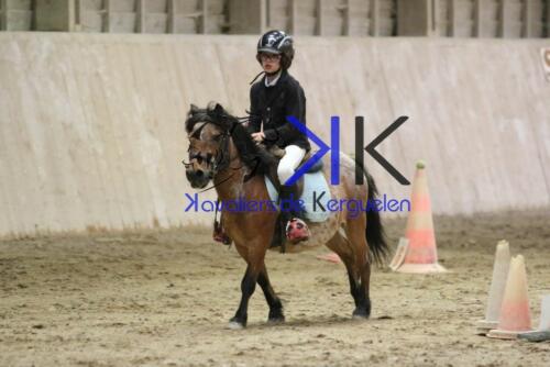 Kerguelen-equitation-1F4A4305