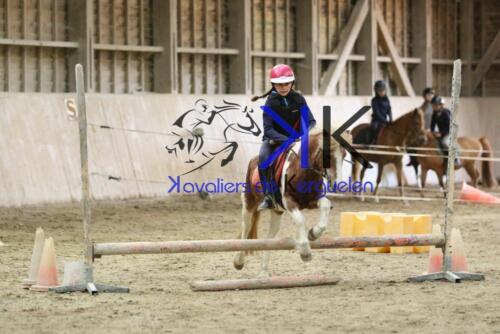 Kerguelen-equitation-1F4A4315