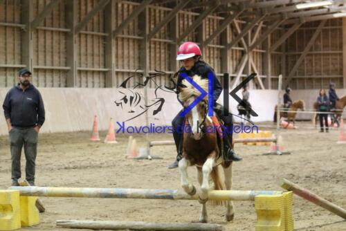 Kerguelen-equitation-1F4A4316