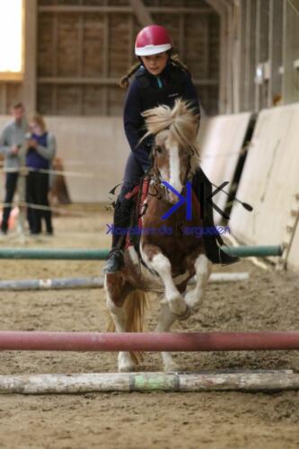 Kerguelen-equitation-1F4A4317