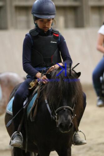 Kerguelen-equitation-1F4A4320