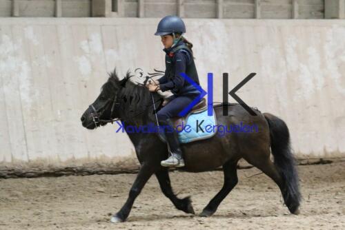 Kerguelen-equitation-1F4A4321