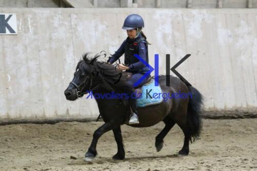 Kerguelen-equitation-1F4A4322