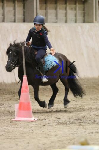 Kerguelen-equitation-1F4A4327