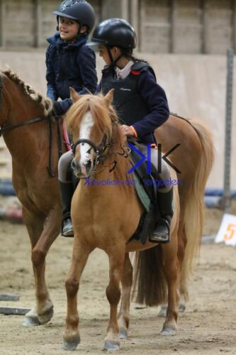 Kerguelen-equitation-1F4A4330