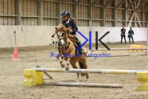 Kerguelen-equitation-1F4A4341