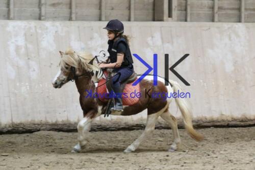 Kerguelen-equitation-1F4A4344