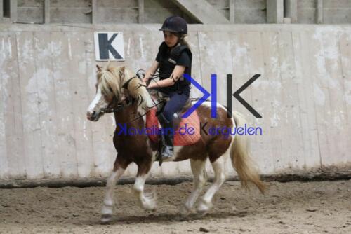 Kerguelen-equitation-1F4A4345