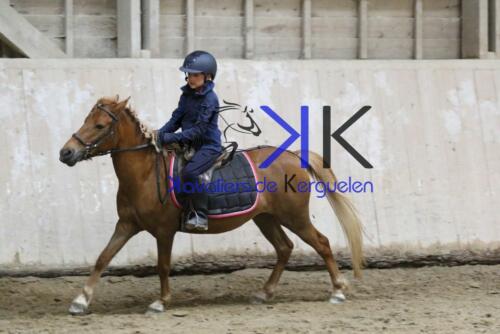 Kerguelen-equitation-1F4A4352