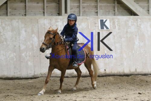 Kerguelen-equitation-1F4A4353