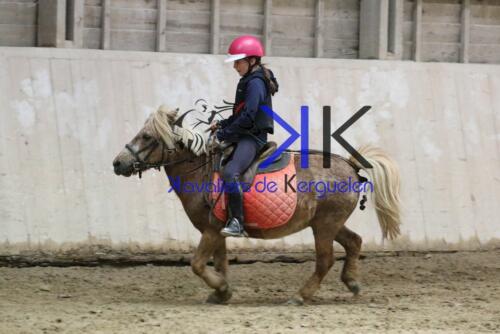 Kerguelen-equitation-1F4A4362