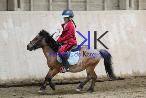 Kerguelen-equitation-1F4A4371