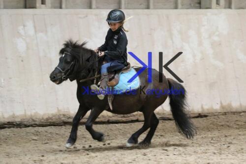 Kerguelen-equitation-1F4A4378
