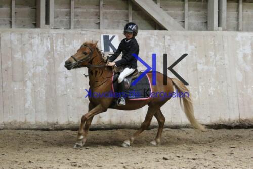 Kerguelen-equitation-1F4A4389
