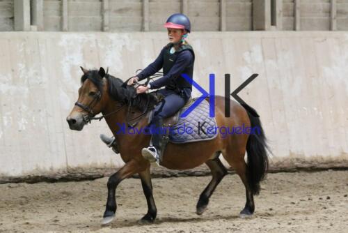 Kerguelen-equitation-1F4A4399
