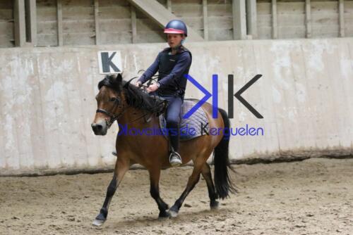 Kerguelen-equitation-1F4A4400