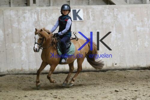 Kerguelen-equitation-1F4A4407