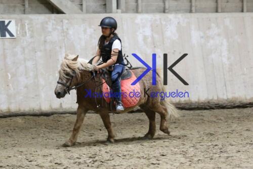 Kerguelen-equitation-1F4A4428
