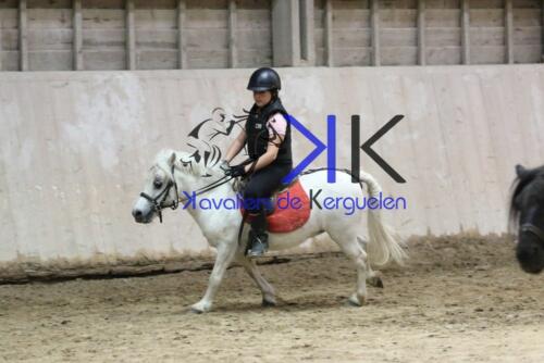 Kerguelen-equitation-1F4A4454