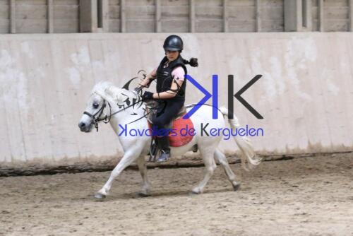 Kerguelen-equitation-1F4A4455
