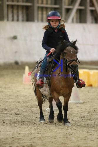 Kerguelen-equitation-1F4A4471
